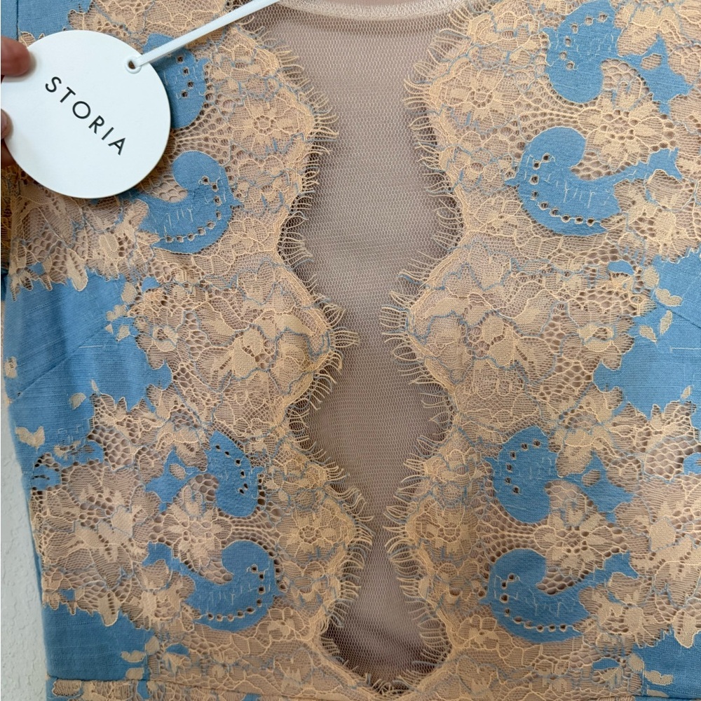 NWT Storia Aries Lace Mesh Mini Dress - Picture 7 of 14
